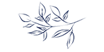 trad-use-plants_150x76