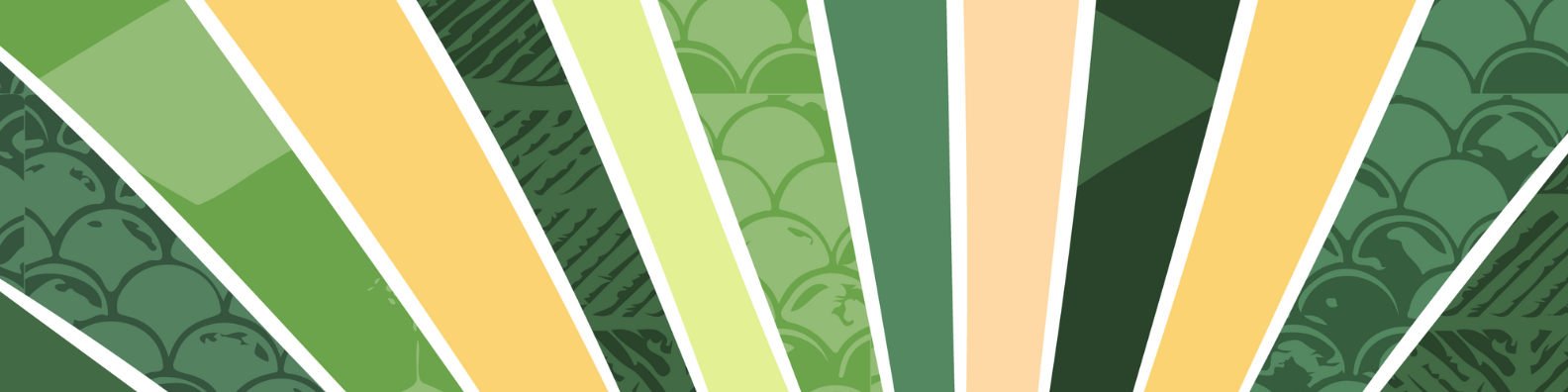 Wameo-Linked-in-Banner-2